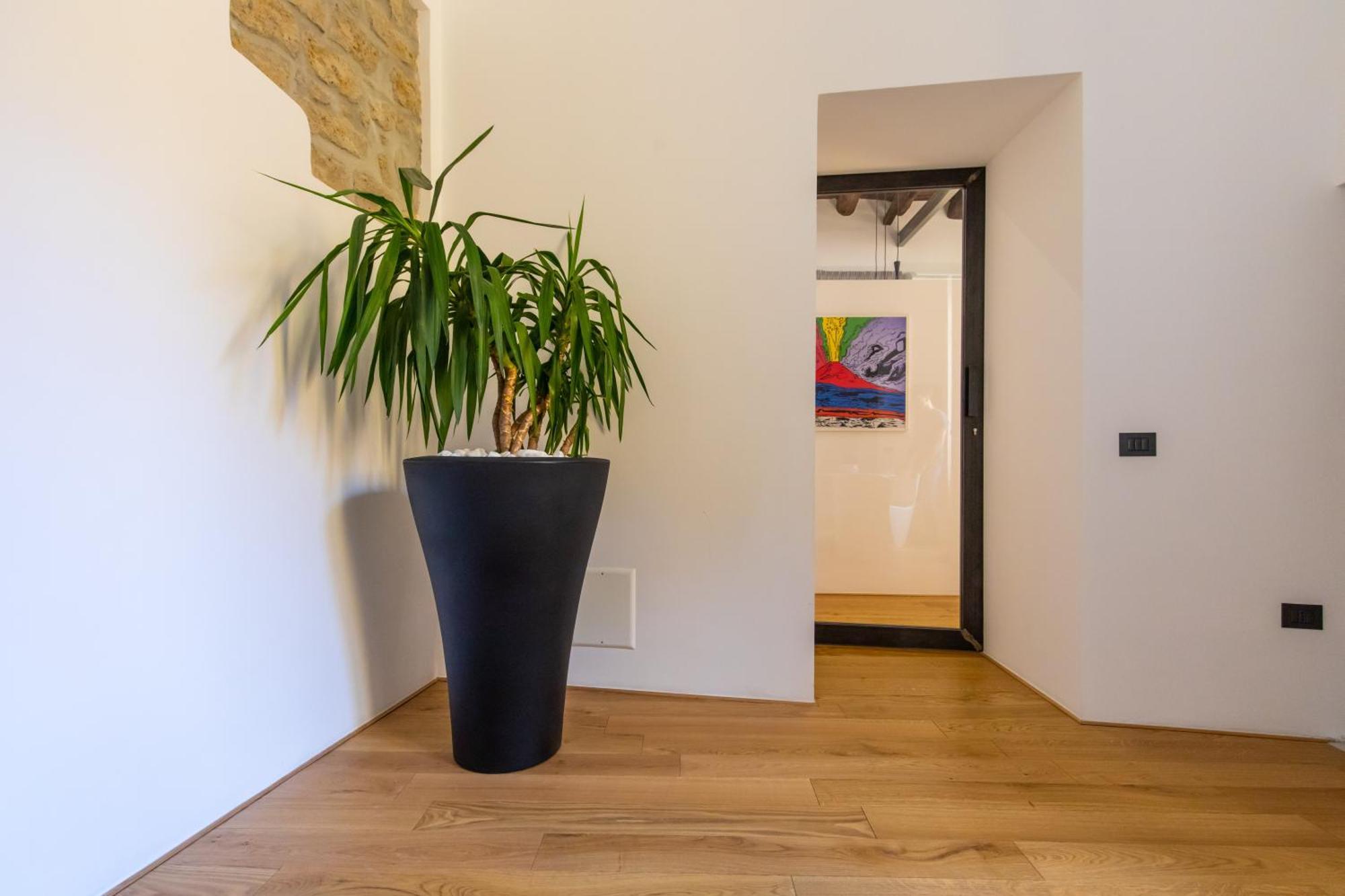 Apartment Amana